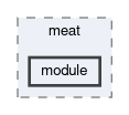 inst/include/Rcpp/api/meat/module